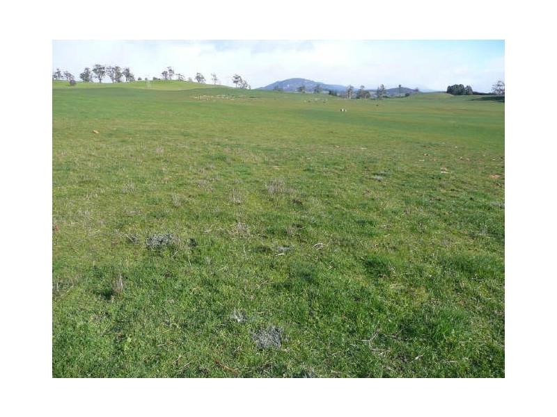 5271 Bass Highway, Deloraine TAS 7304