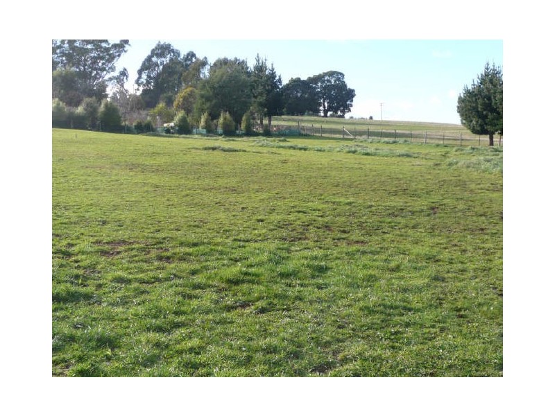 3 Gleadow Street, Deloraine TAS 7304