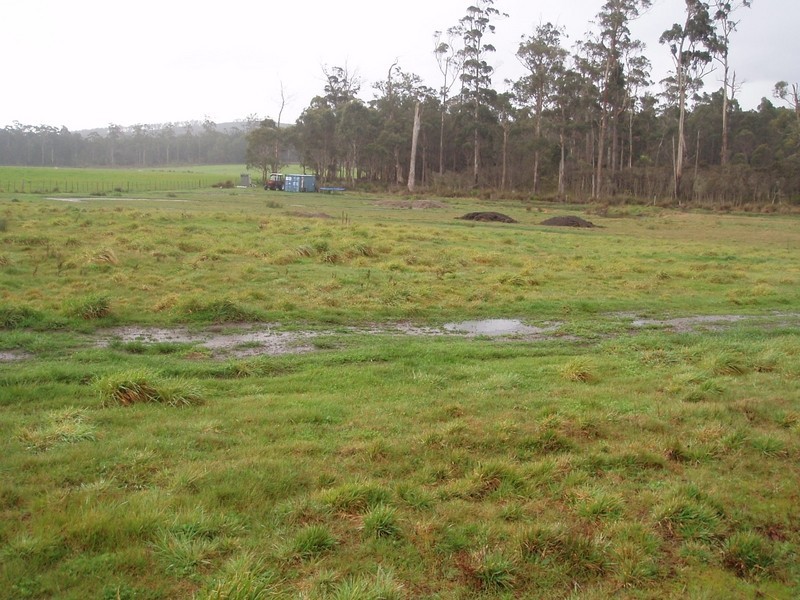 Maloneys Road, Parkham TAS 7304