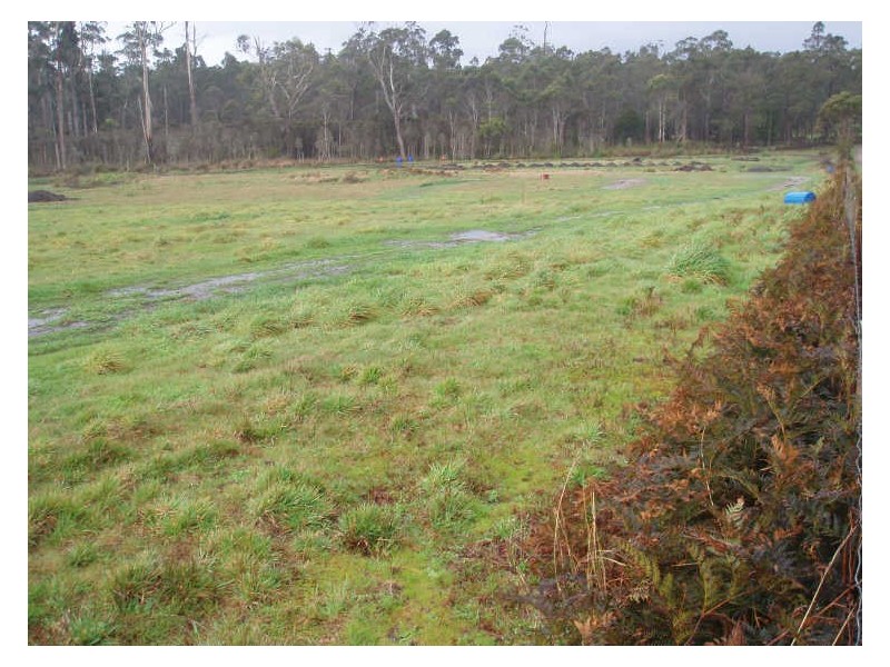 Maloneys Road, Parkham TAS 7304