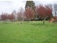 22 A Beefeater Street, Deloraine TAS 7304