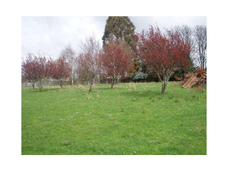 22 A Beefeater Street, Deloraine TAS 7304