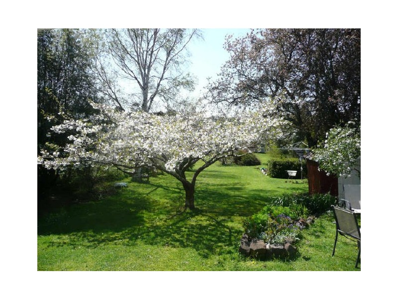 20 A Beefeater Street, Deloraine TAS 7304