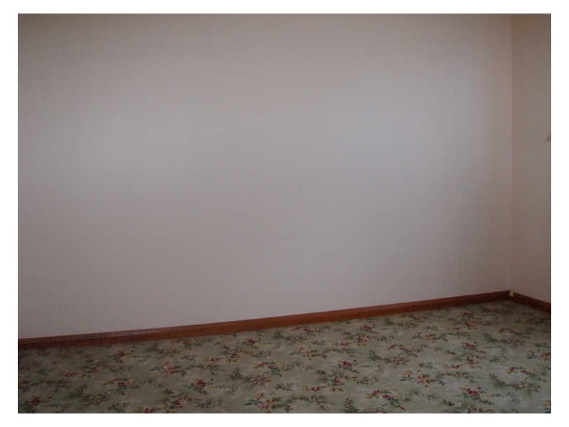 80 Union Bridge Road, Mole Creek TAS 7304