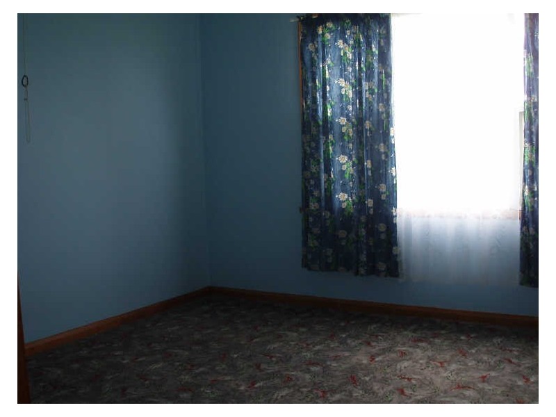 80 Union Bridge Road, Mole Creek TAS 7304