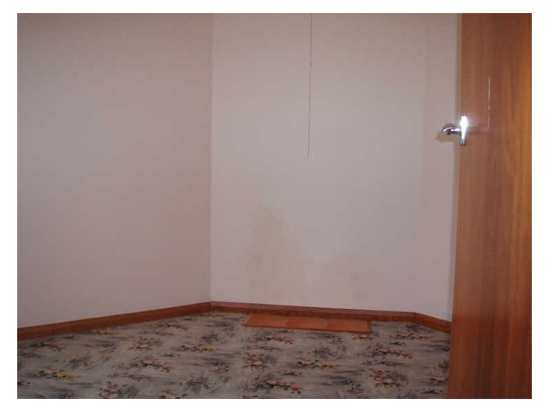 80 Union Bridge Road, Mole Creek TAS 7304