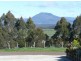 61 Archer Street, Deloraine TAS 7304