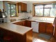 61 Archer Street, Deloraine TAS 7304