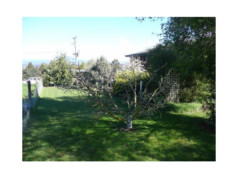 61 Archer Street, Deloraine TAS 7304