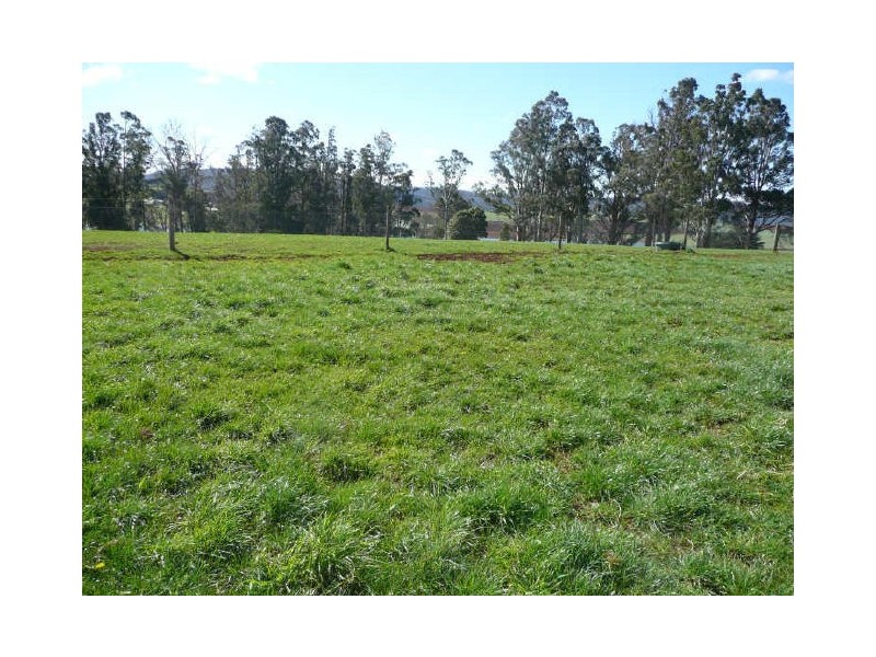 61 Archer Street, Deloraine TAS 7304