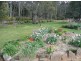 260 Wadleys Road, Reedy Marsh TAS 7304