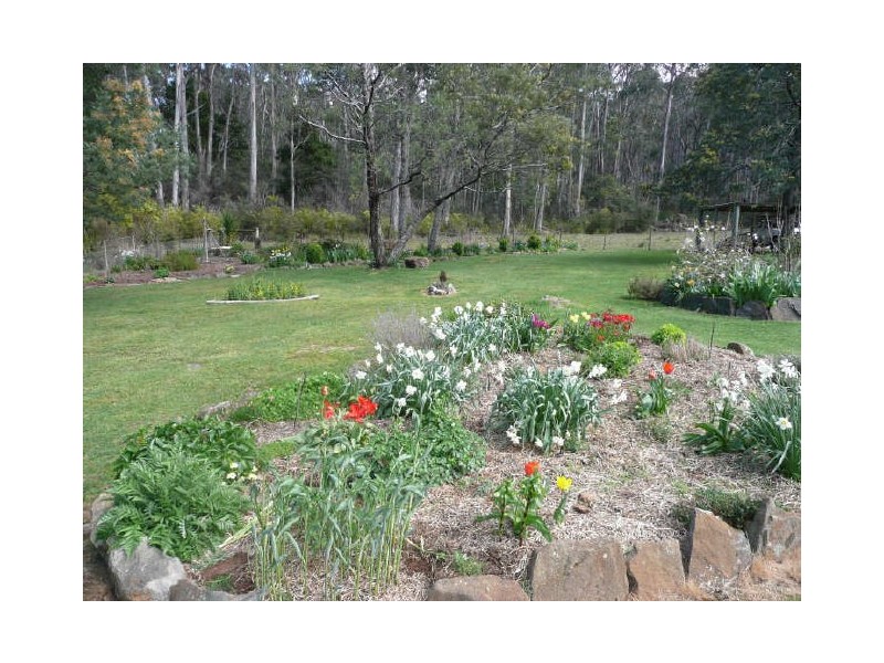 260 Wadleys Road, Reedy Marsh TAS 7304