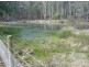 260 Wadleys Road, Reedy Marsh TAS 7304