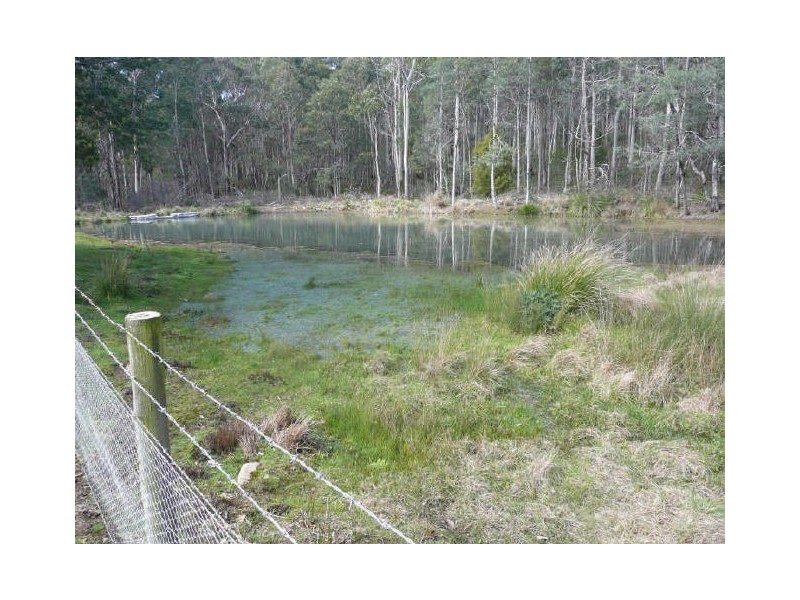 260 Wadleys Road, Reedy Marsh TAS 7304