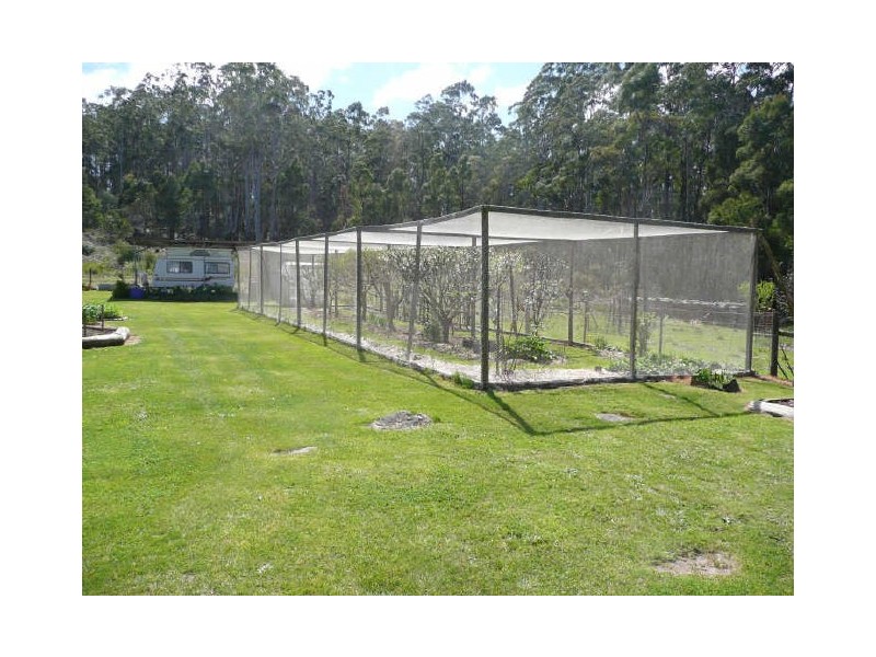 260 Wadleys Road, Reedy Marsh TAS 7304
