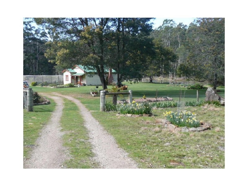 260 Wadleys Road, Reedy Marsh TAS 7304