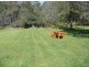 260 Wadleys Road, Reedy Marsh TAS 7304