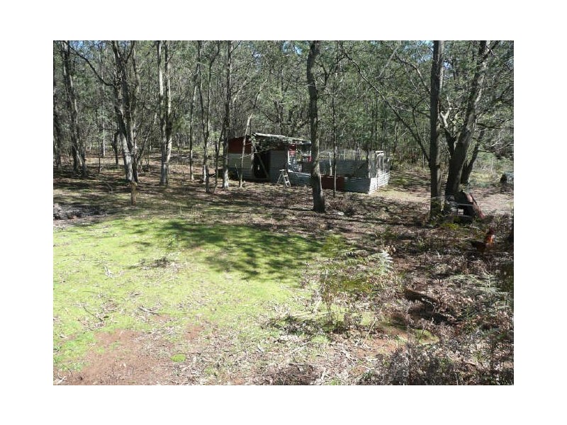 289 Wadleys Road, Reedy Marsh TAS 7304