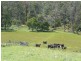 629 Lower Beulah, Barrington TAS 7306