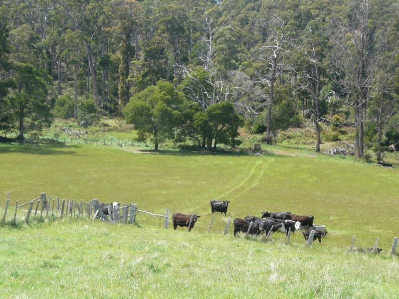 629 Lower Beulah, Barrington TAS 7306
