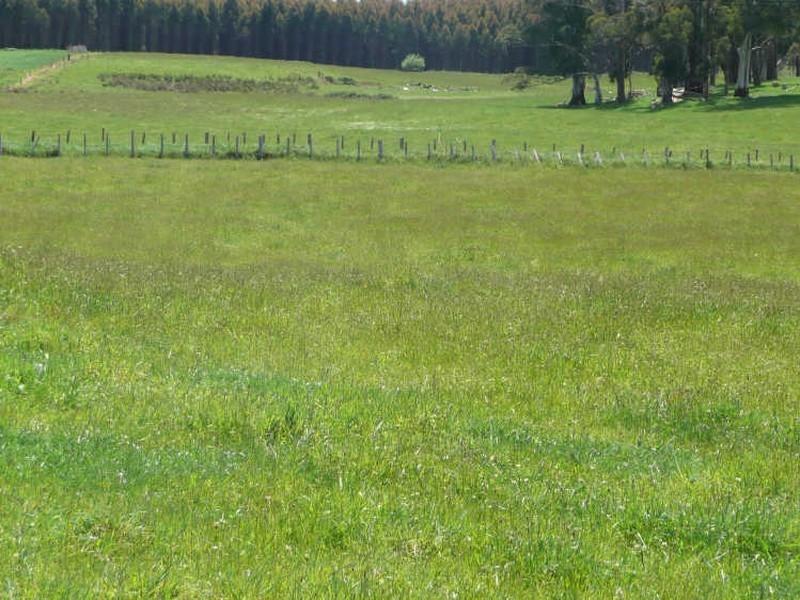 629 Lower Beulah, Barrington TAS 7306