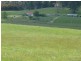 629 Lower Beulah, Barrington TAS 7306