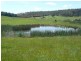 629 Lower Beulah, Barrington TAS 7306