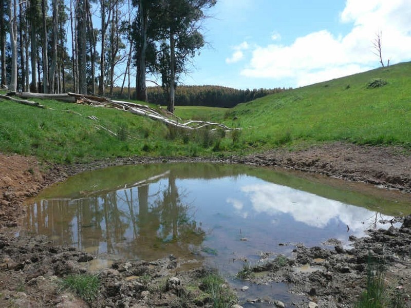 629 Lower Beulah, Barrington TAS 7306