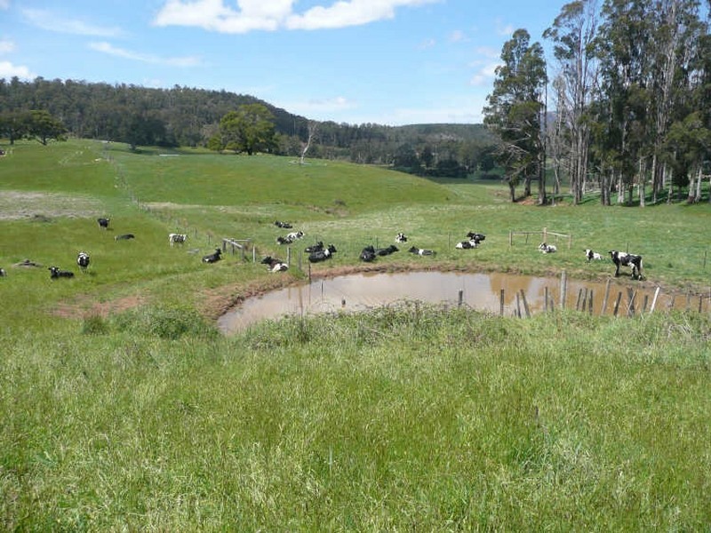 629 Lower Beulah, Barrington TAS 7306