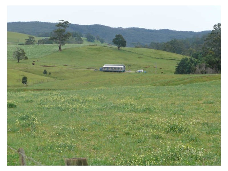 1018 Sheffield Road, Lower Barrington TAS 7306