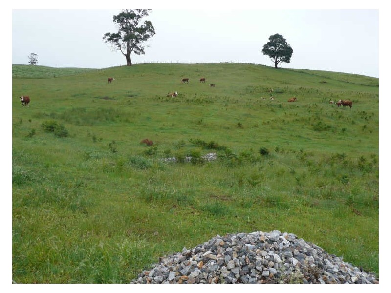 1018 Sheffield Road, Lower Barrington TAS 7306