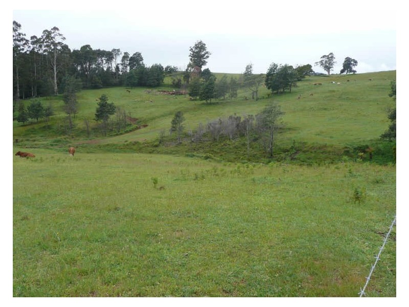 1018 Sheffield Road, Lower Barrington TAS 7306