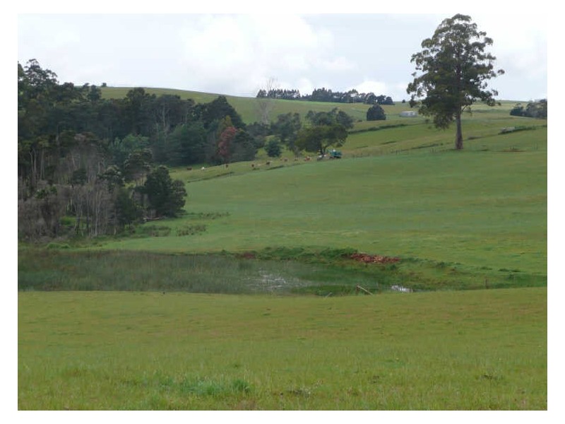 1018 Sheffield Road, Lower Barrington TAS 7306