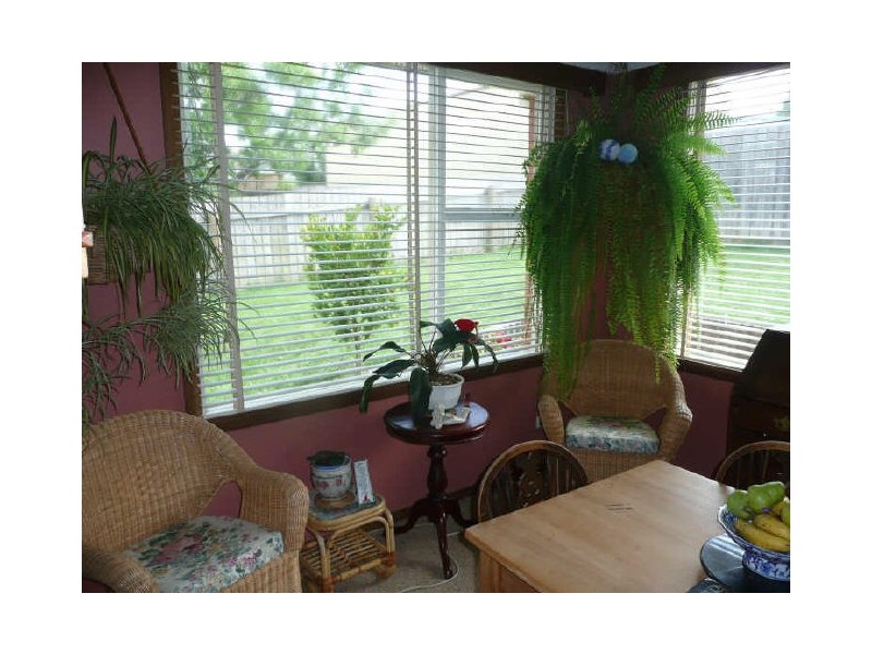 29 Moriarty Street, Deloraine TAS 7304