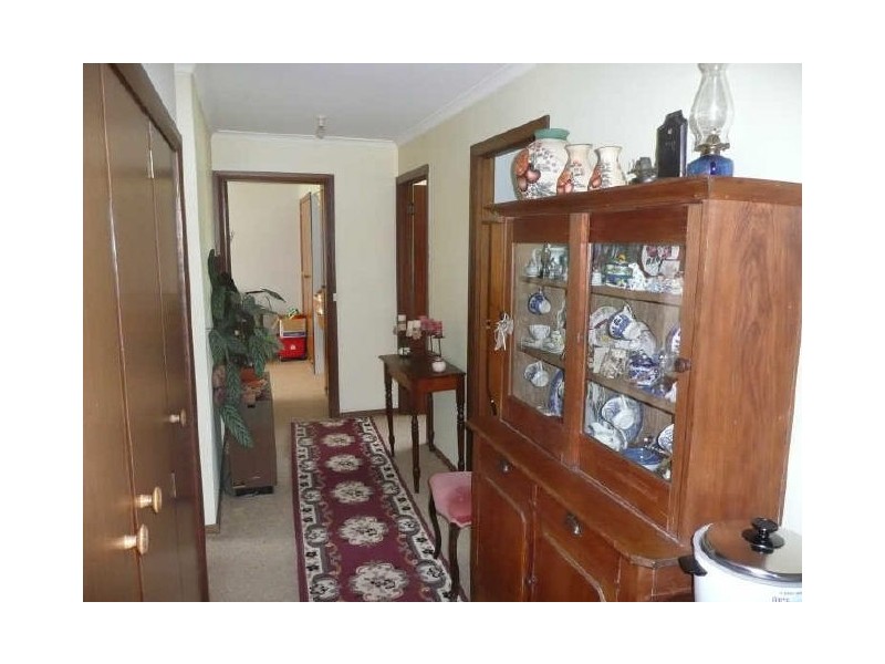 29 Moriarty Street, Deloraine TAS 7304