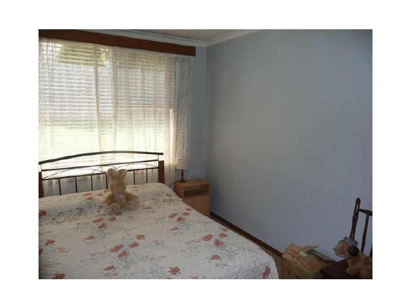 29 Moriarty Street, Deloraine TAS 7304