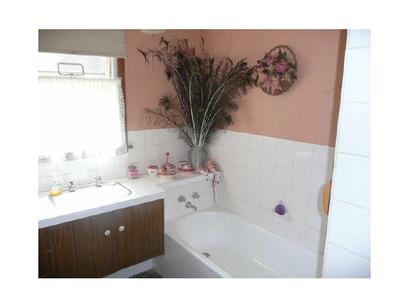 29 Moriarty Street, Deloraine TAS 7304