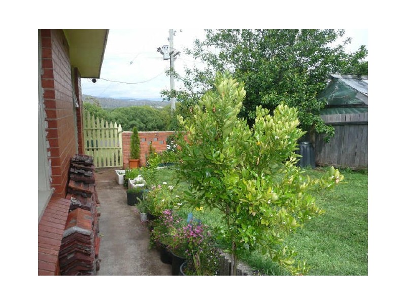 29 Moriarty Street, Deloraine TAS 7304