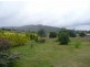 1111 Railton Road, Kimberley TAS 7304