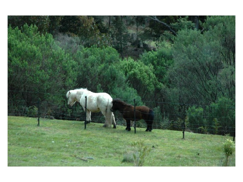 Highland Lakes Road, Golden Valley TAS 7304