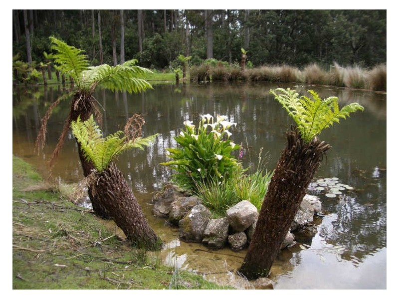 Highland Lakes Road, Golden Valley TAS 7304