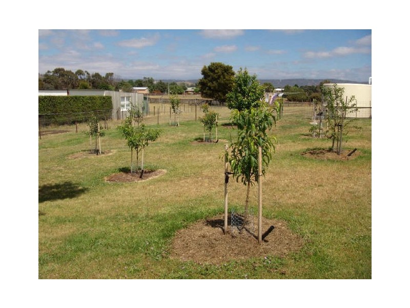 4 New Street, Ross TAS 7209