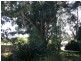 44 West Church Street, Deloraine TAS 7304
