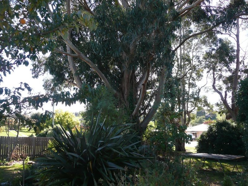 44 West Church Street, Deloraine TAS 7304