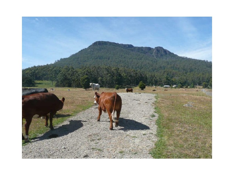 104 Brodies Road, Golden Valley TAS 7304