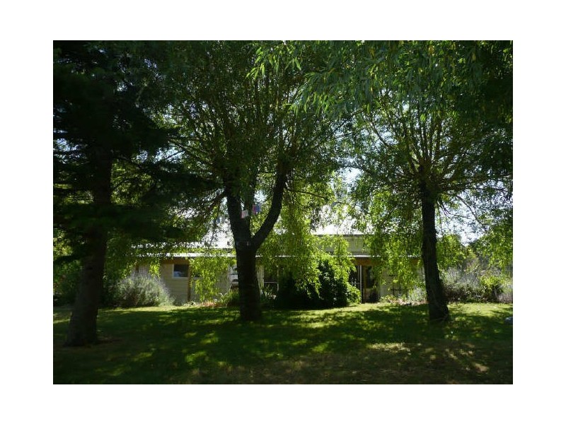 104 Brodies Road, Golden Valley TAS 7304