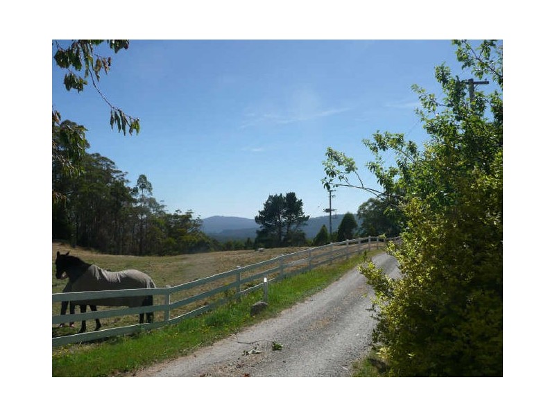 104 Brodies Road, Golden Valley TAS 7304