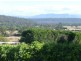 49 Beefeater Street, Deloraine TAS 7304