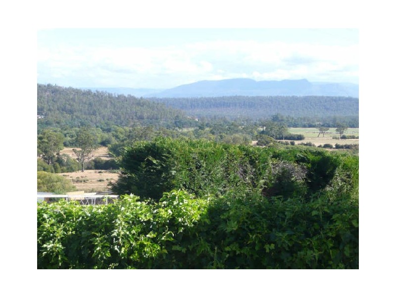 49 Beefeater Street, Deloraine TAS 7304