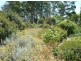 171 Jones street, Chudleigh TAS 7304